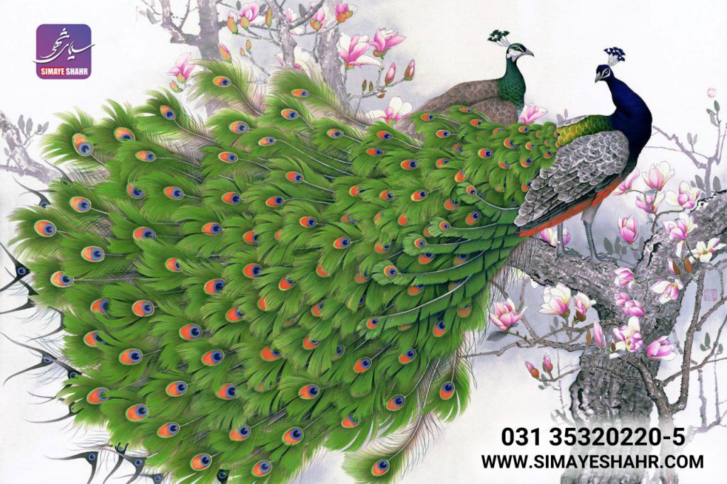 دستگاه اکوسالونت در کاغذ دیواری